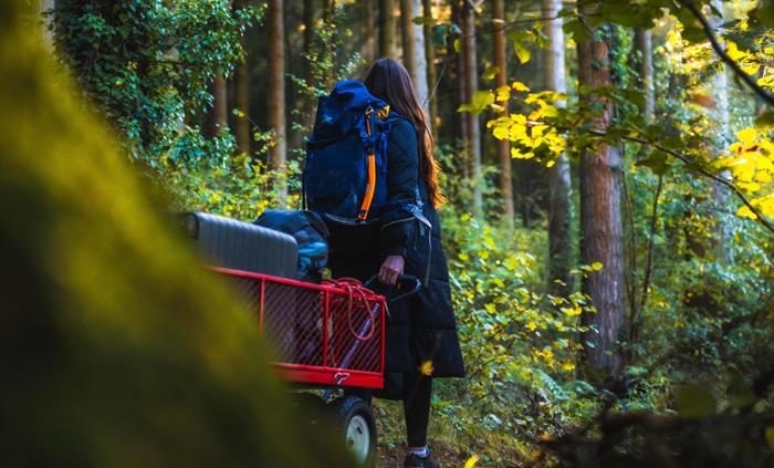 Make your way through the forest to your lodge